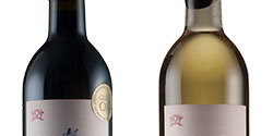 tasting