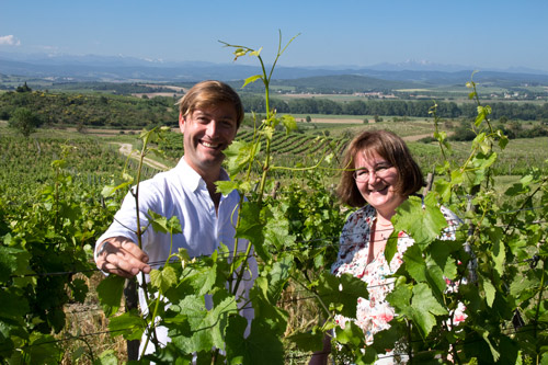 Weinbergführungen