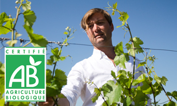 Bio Languedoc-Weine