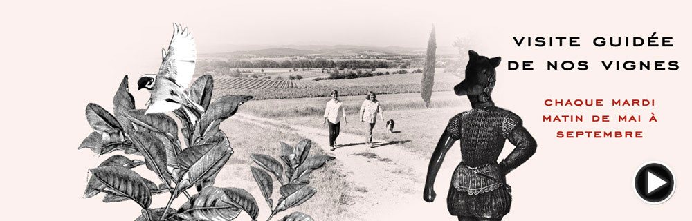 balade decouverte dans les vignes