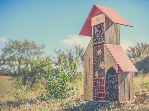 worm farm Domaine La Louvière