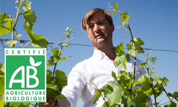 Organic Languedoc wines